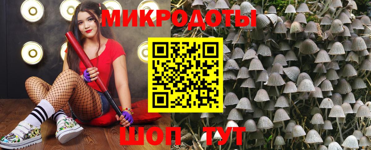 Псилоцибиновые грибы Psilocybine cubensis  Псилоцибиновые грибы Psilocybe  Норильск  Вход с VPN 