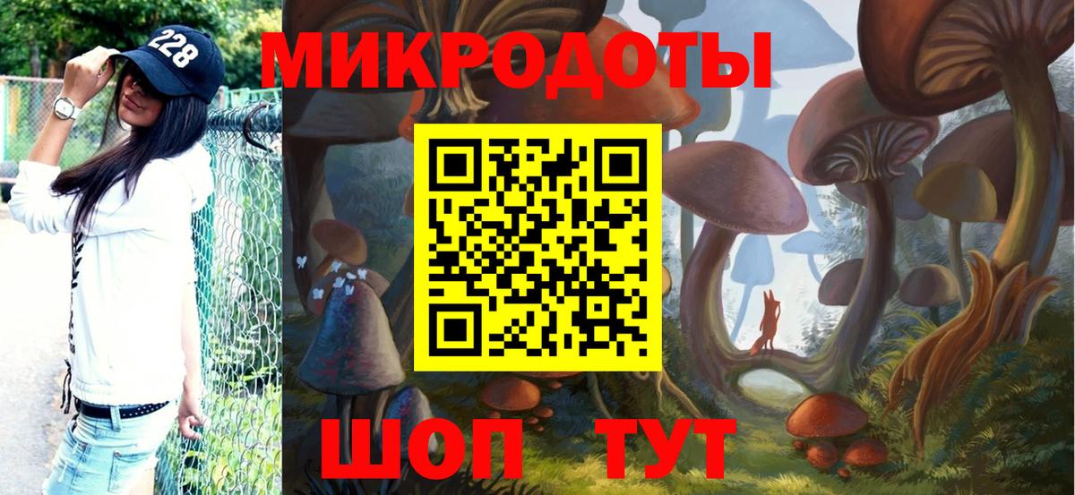 Псилоцибиновые грибы Cubensis Норильск